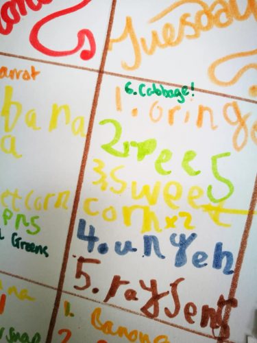 a list of fruit and vegetables, in colourful child's handwriting, with aborably creative spelling!